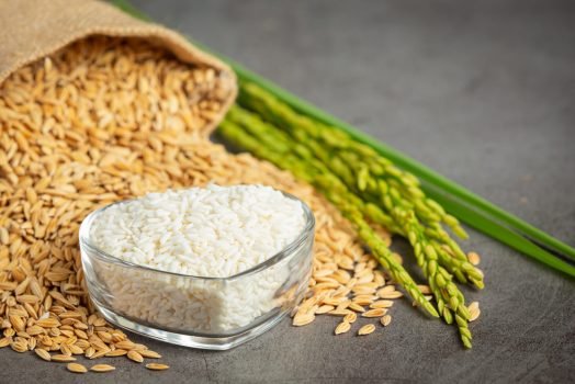 a sack of rice seed with white rice on small glass bowl and rice a sack of rice seed with white rice on small glass bowl and rice plant